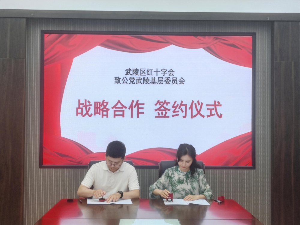 武陵基层委员会签约